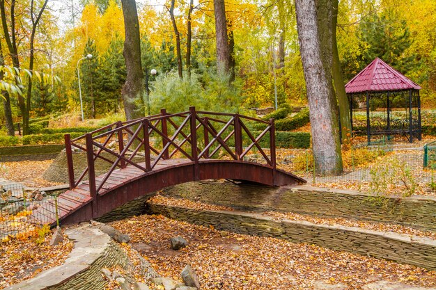 Ponte di legno nel parco in autunno con gazebo