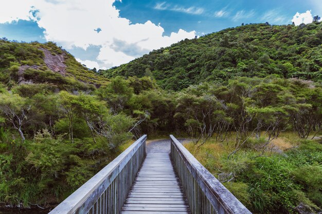 Ponte di legno nella foresta della valle vulcanica di Waimangu in Nuova Zelanda