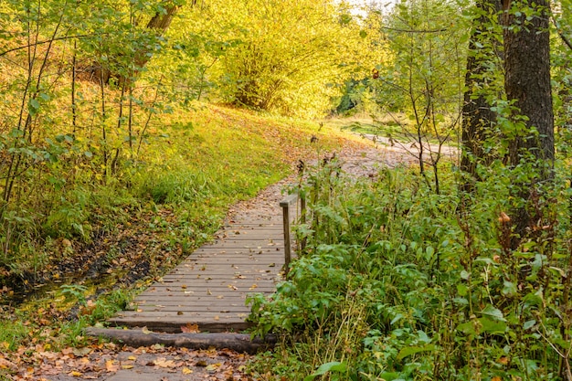 Ponte di legno nella foresta ricoperta di fogliame autunnale. Paesaggio autunnale vicino al lago blu. Kazan, Russia.