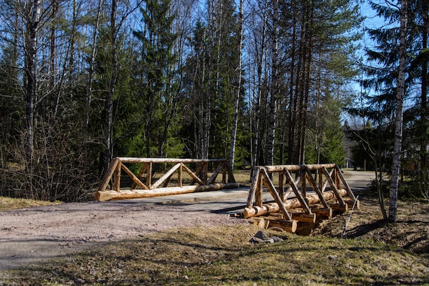 Ponte di legno nella foresta