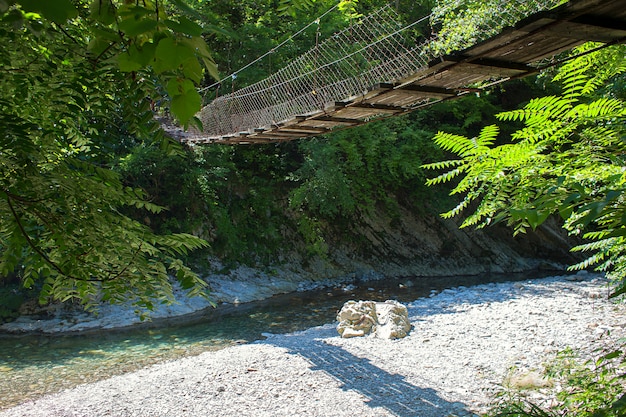 Ponte di legno sospeso sopra il piccolo fiume della montagna in foresta