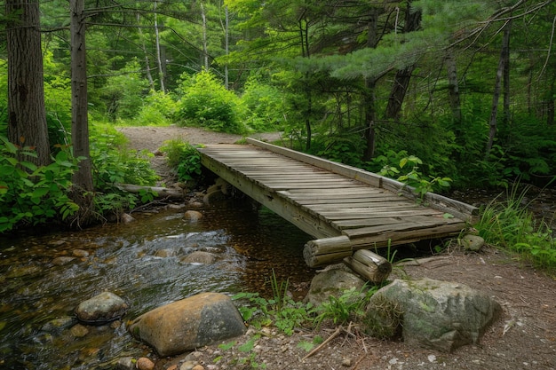 ponte di legno su un ruscello nei boschi verdi