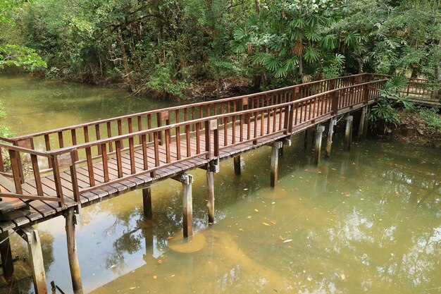 Ponte di legno sul canale di un piccolo villaggio