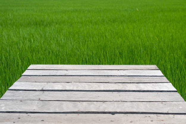 Ponte di legno sulla priorità bassa verde delle risaie