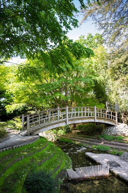 Ponte di legno tradizionale su un laghetto da giardino giapponese