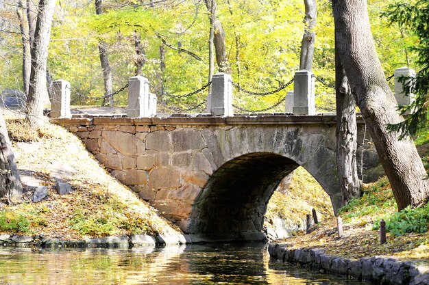 Ponte di pietra nel parco