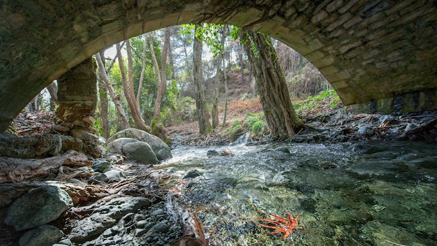 Ponte di pietra veneziano sul fiume Krios storico punto di riferimento medievale nella foresta di Cipro vista da sotto il ponte