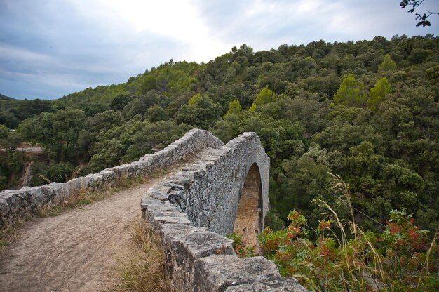 Ponte di pietra