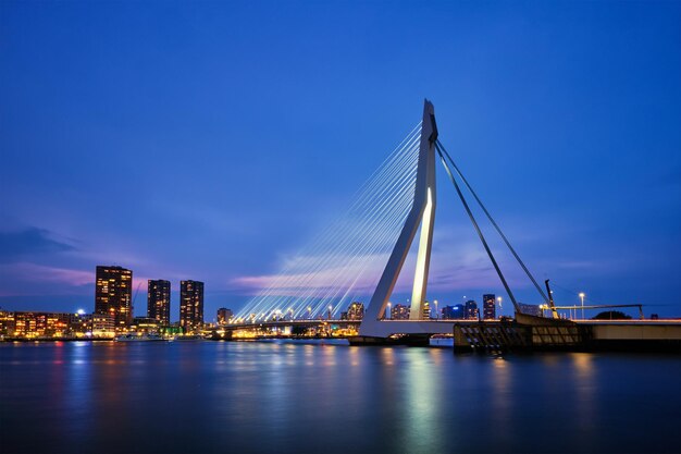 Ponte Erasmus Rotterdam Paesi Bassi