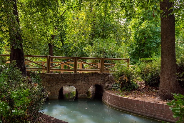 Ponte in mattoni rossi tra la vegetazione con ringhiere in legno su un ruscello artificiale nel Parco del Retiro di Madrid