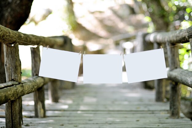 Ponte in natura con corda posata e fogli bianchi