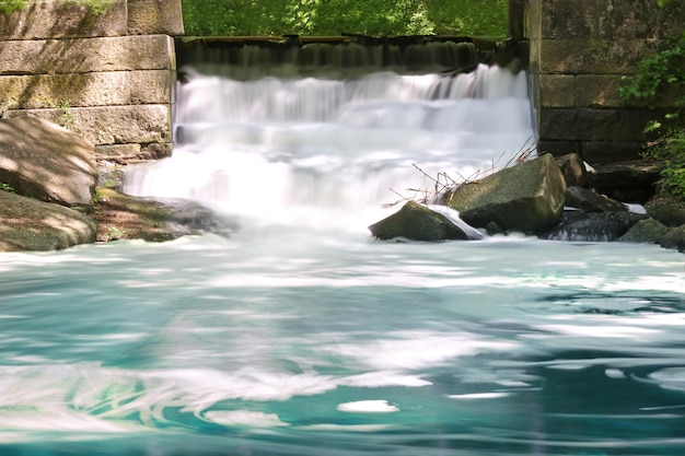 Ponte in una foresta