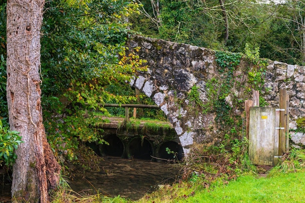 Ponte medievale di Cuerres nelle Asturie, Spagna