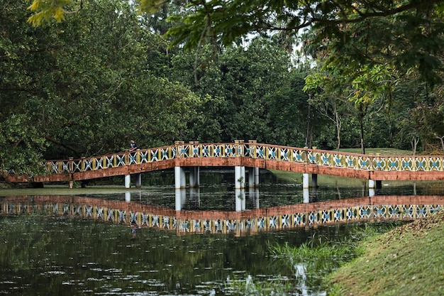 Ponte nel parco dei giardini del lago Taining, Malesia