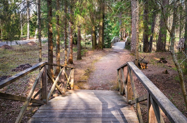 Ponte nella foresta della tenuta di AN Ostrovsky Shchelykovo Kineshma