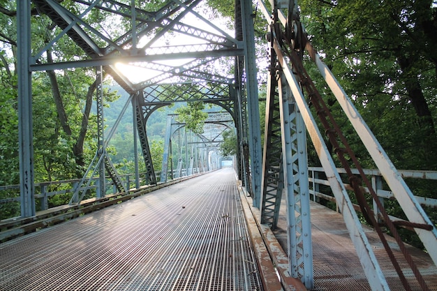 Ponte pedonale in mezzo agli alberi della foresta