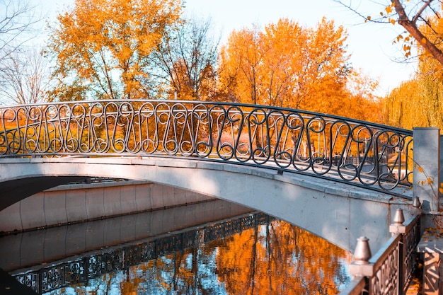 Ponte pedonale sul fiume nel parco cittadino Pittoresco paesaggio autunnale