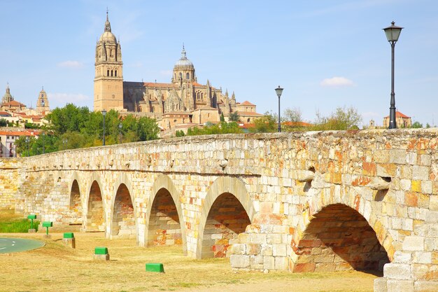 Ponte romano e cattedrali di Salamanca, Spagna