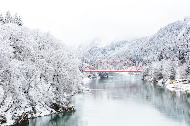 Ponte rosso paesaggio invernale