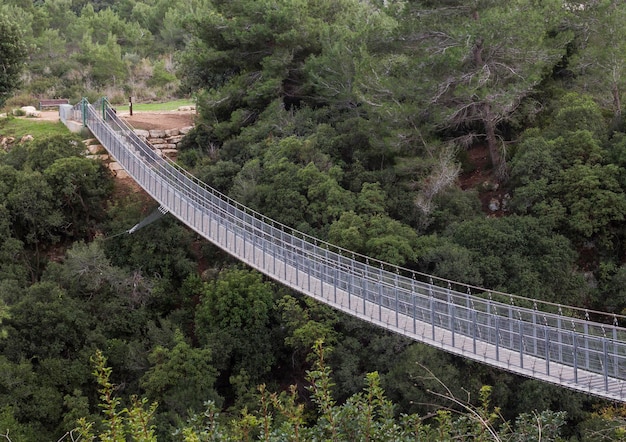 Ponte sospeso ad Haifa, Israele