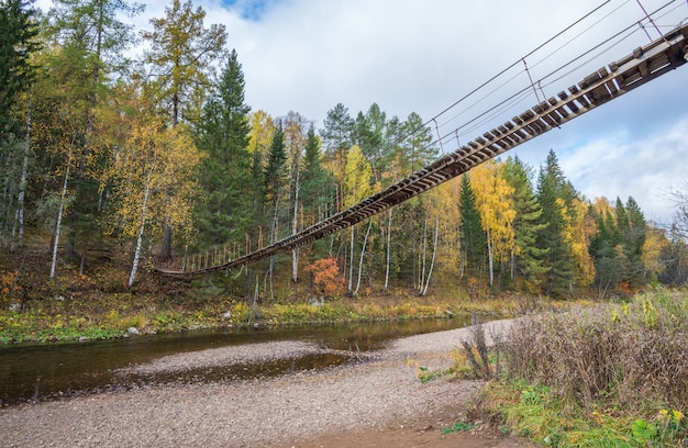 Ponte sospeso di legno sopra il fiume nella foresta