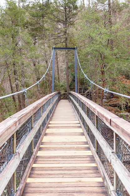 Ponte sospeso in legno nella foresta verde