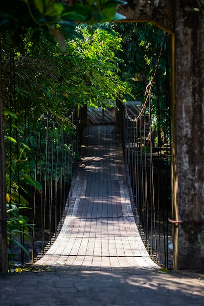 Ponte sospeso nella foresta