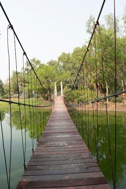 Ponte sospeso su priorità bassa astratta della natura