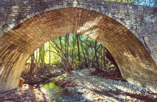 Ponte su Cipro