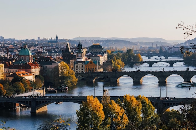 Ponte sul fiume con edifici sullo sfondo