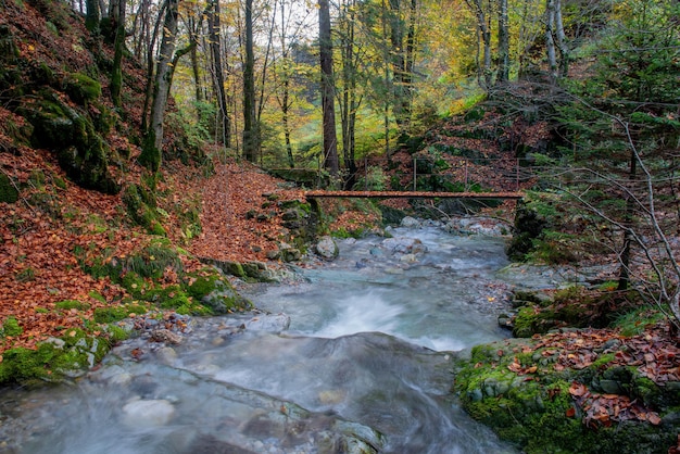 Ponte sul fiume I