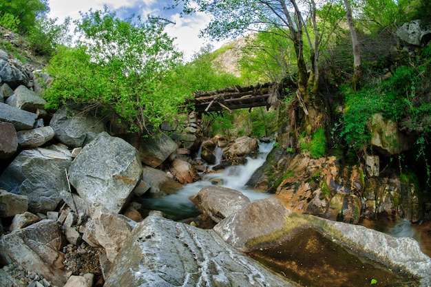 Ponte sul fiume