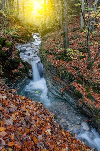 Ponte sul fiume