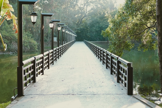 Ponte sul lago stagno nel parco giardino