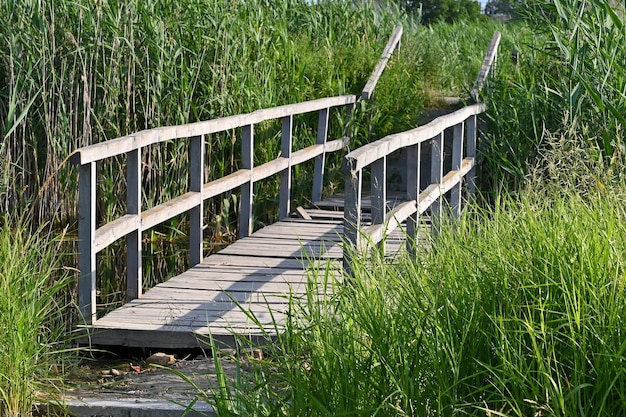 ponte sul ruscello ai margini del campo