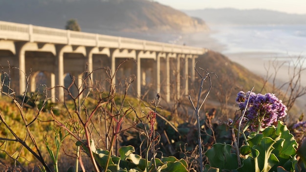 Ponte sulla costa pacifica autostrada Torrey Pines Beach tramonto viaggio su strada in California