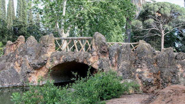 Ponte traforato di pietra di legno nel parco naturale