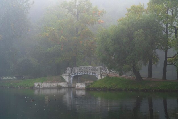 Ponte traforato in ghisa nel complesso del palazzo e del parco Gatchina Gatchina San Pietroburgo Russia