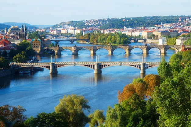 Ponti di Praga sul fiume Moldava, Repubblica Ceca, tonica