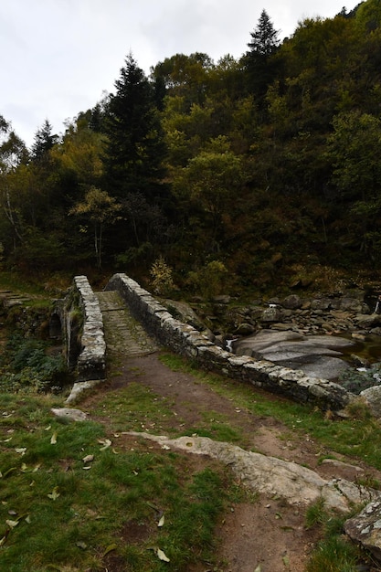 Ponti Romani in Valchiuseella