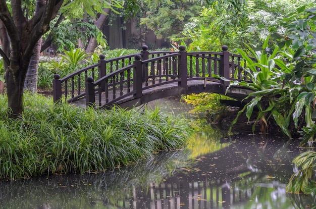 Ponticello del piede sopra uno stagno in giardino verde