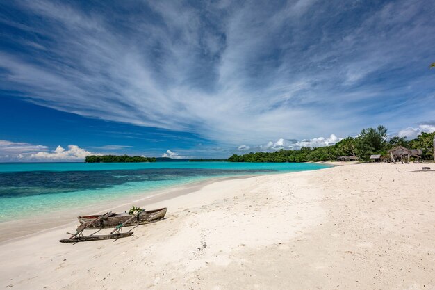 Port Orly spiaggia sabbiosa con palme Espiritu Santo Island Vanuatu