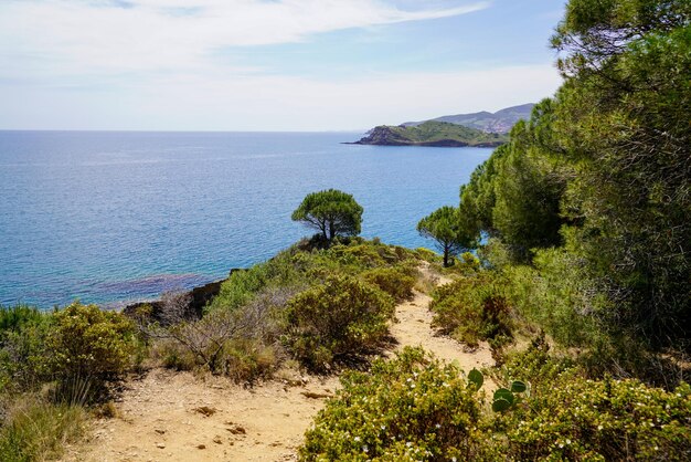 Port-Vendres nella costa mediterranea nel sud della Francia mare spiaggia dei Pirenei orientali in Languedoc-Roussillon Francia