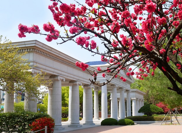 Porta al Quad principale presso la Keimyung University di Daegu, in Corea del Sud.