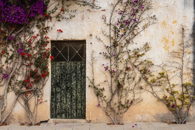 Porta con fiori di bouganville sul muro piuttosto vecchio messicano