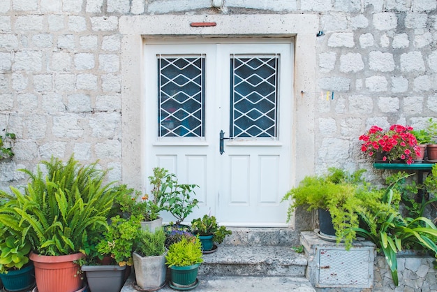 Porta d'ingresso con piante e fiori