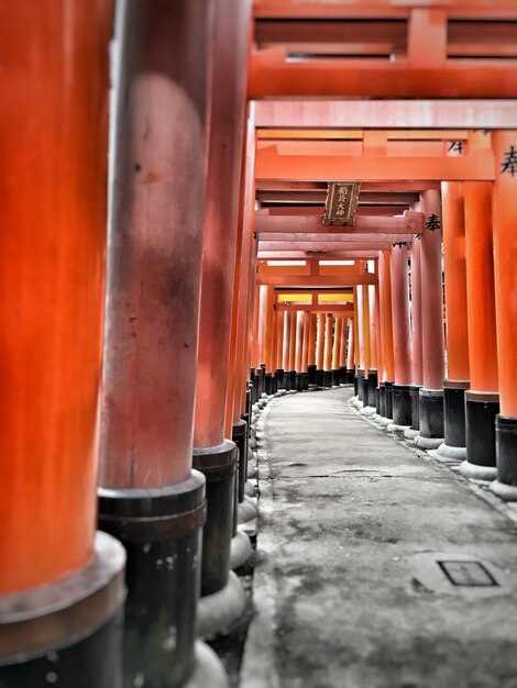 Porte Torii al santuario shintoista