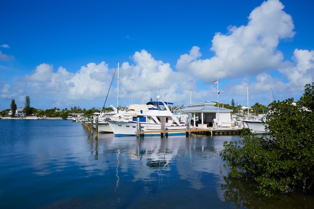 Porticciolo di Key West Florida Garrison Bight in Florida