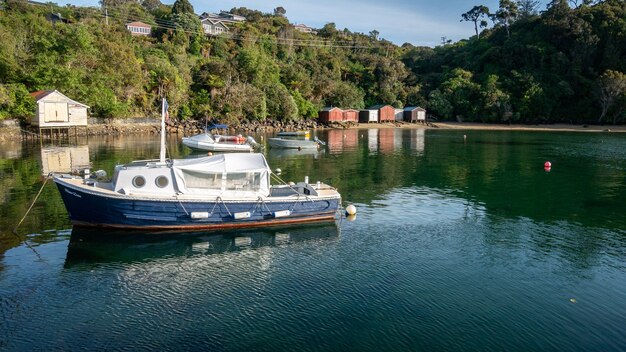 Porto tropicale con barche ancorate girato su Stewart Island Rakiura Nuova Zelandaura