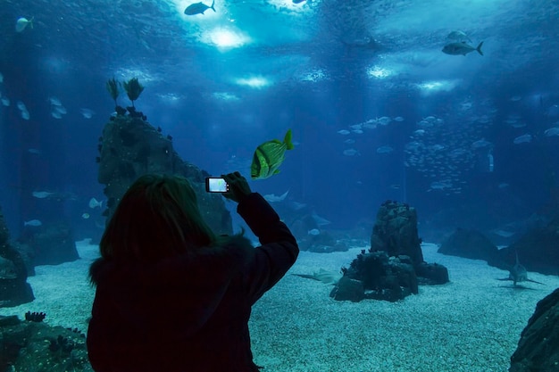 Portogallo Lisbona Oceanario di Lisbona Oceanario de Lisboa un turista scatta foto di pesci tropicali